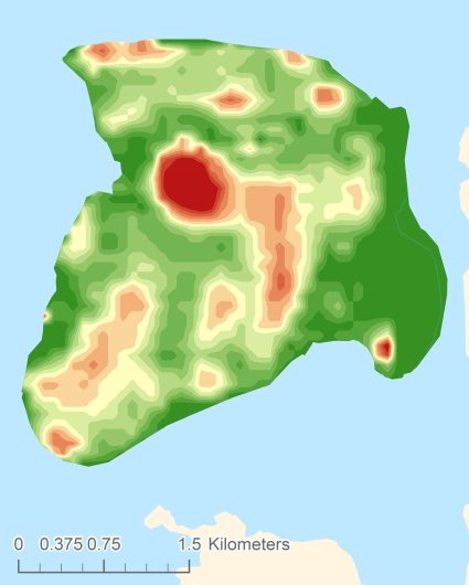 Chrząszczewska Wyspa Digital terrain model - DTM