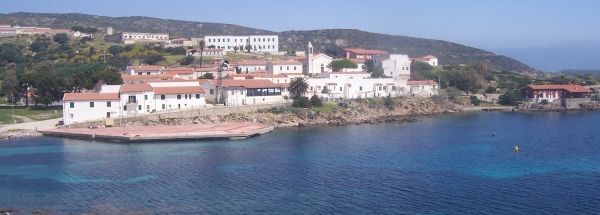  Sights island Asinara Tourism 